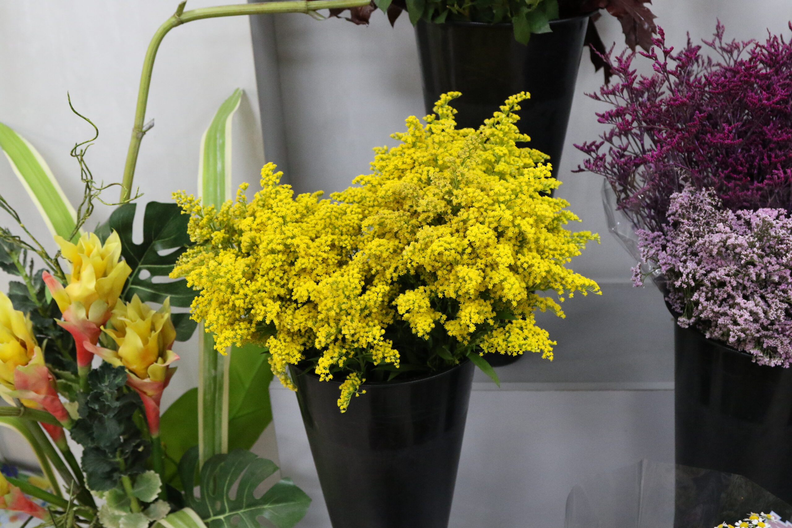 Ramo del florista - Imagen 7