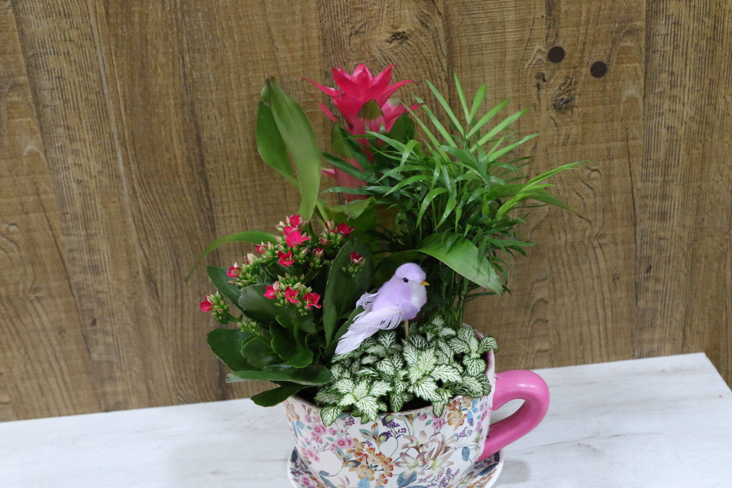 Taza plantas - Imagen 2