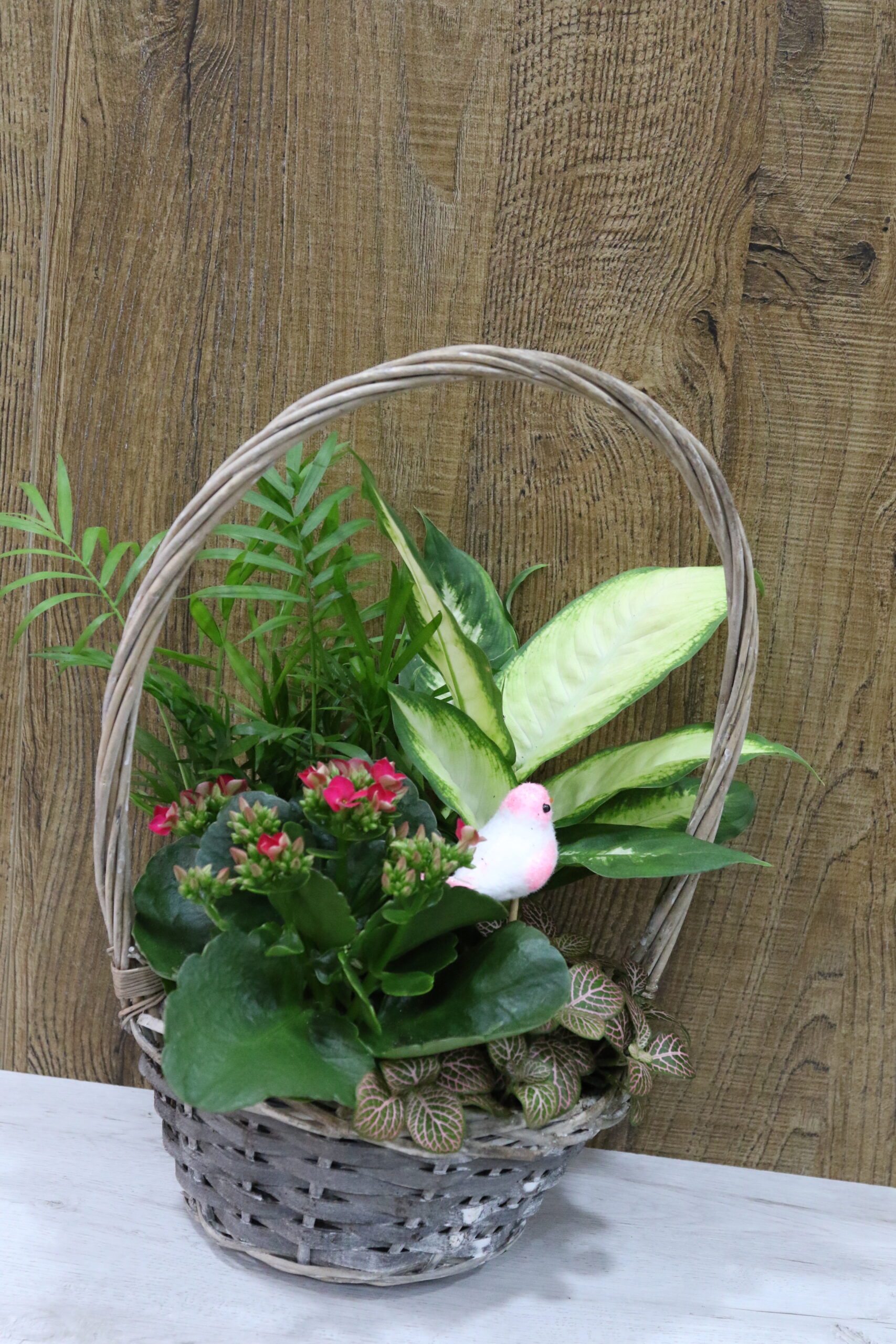 Centros plantas cesta con asa - Imagen 2