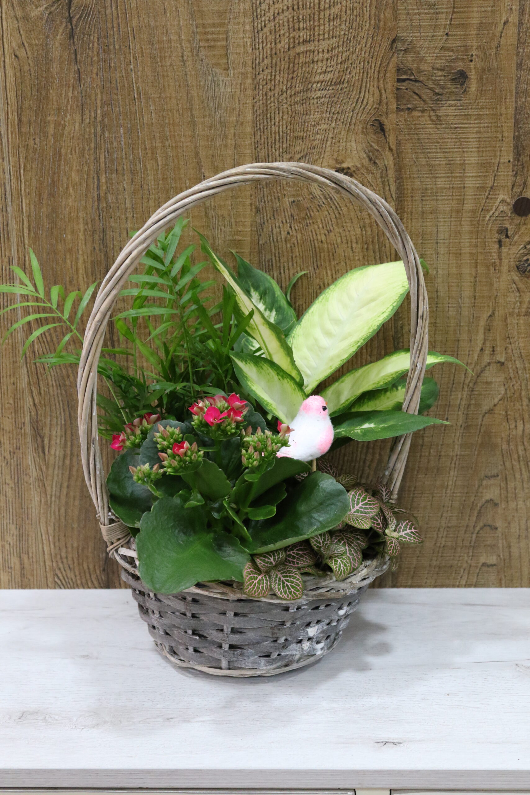 Centros plantas cesta con asa