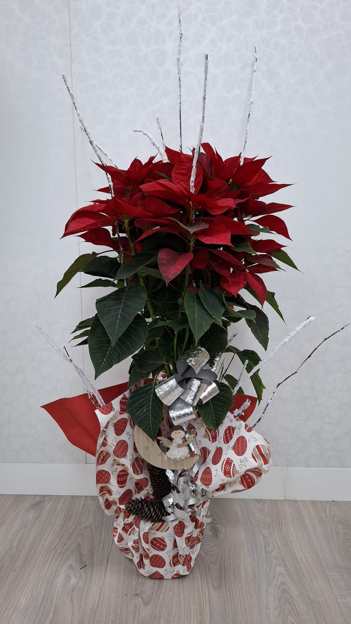 Flor de pascua - Imagen 6