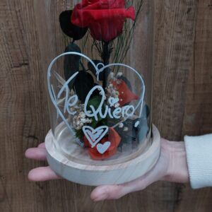 Cúpula rosa con mensaje